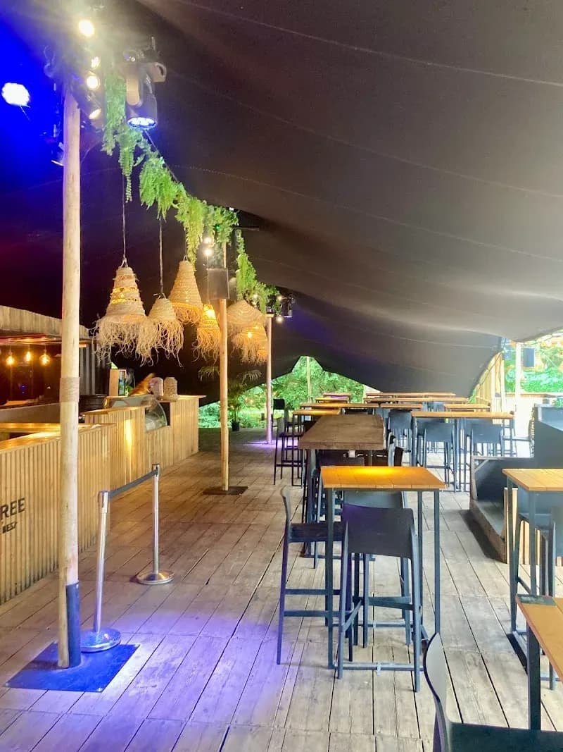 Zomerbar Gazon – sfeerbeeld