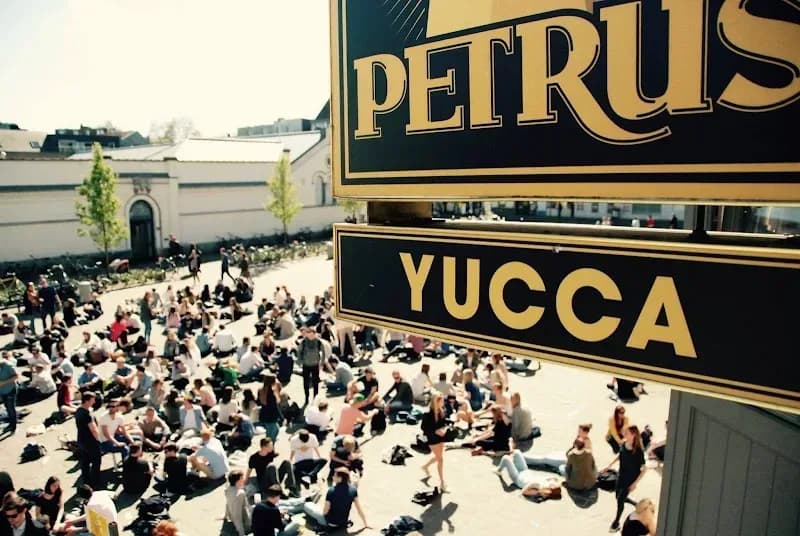 Yucca – sfeerbeeld