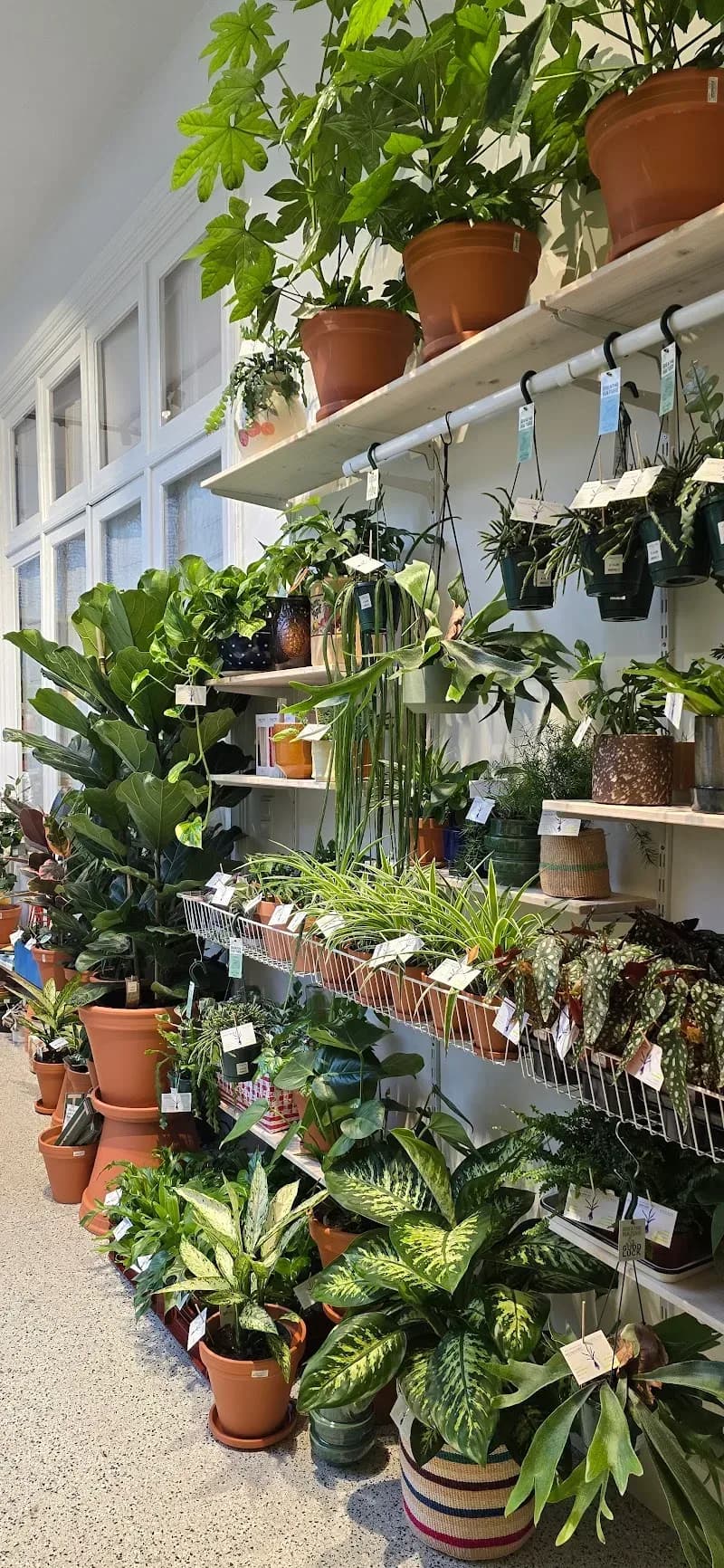 Plantbaar – sfeerbeeld