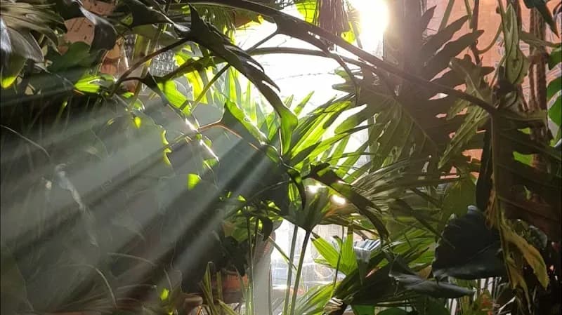 Broesse – sfeerbeeld