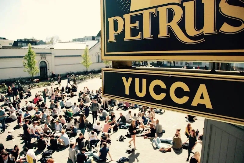 Yucca – sfeerbeeld