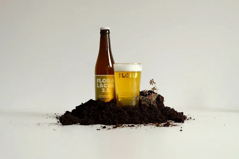 Brouwerij De Wilde Brouwers – sfeerbeeld
